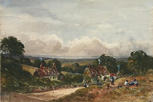 (Common) New Forest, , Lydia Larden