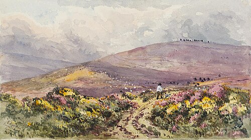 Countisbury Common, North Devon, , Lydia Larden