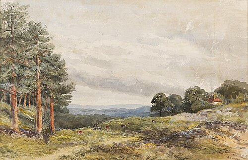 Near Lyndhurst, New Forest, , Lydia Larden