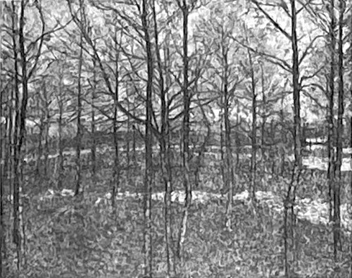 Forest, Spring, 1905, Kazimir Malevich