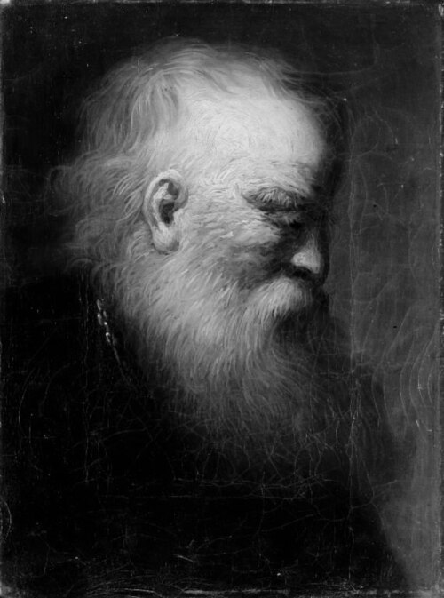 En olding, 1734, Johann Salomon Wahl