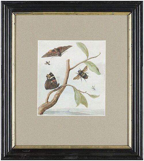 Insecten in heuvelachtig landschap, 1658, Margareta de Heer