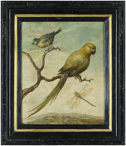 Heuvellandschap met pimpelmees, parkiet en libel, 1654, Margareta de Heer