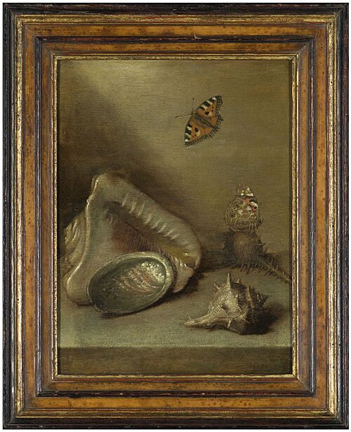 Stilleven met schelpen en vlinders, 1644, Margareta de Heer