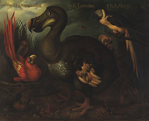 The Dodo and Given, 1905, Henrik Grönvold