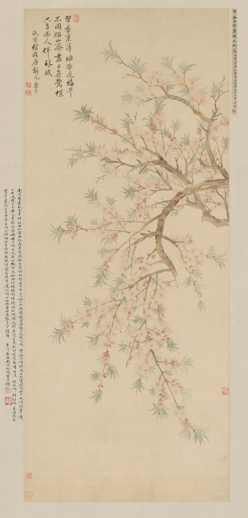 恽寿平桃花图轴, , Yun Shouping