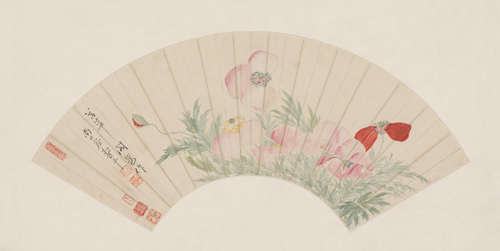 恽寿平罂粟花图扇页, , Yun Shouping