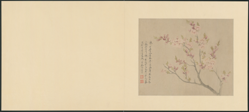 恽寿平花卉册, , Yun Shouping