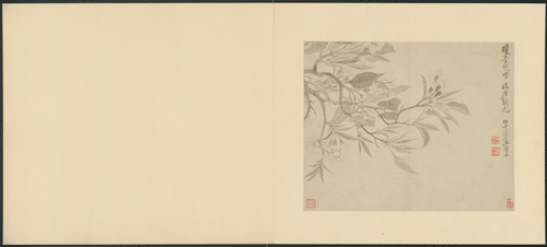恽寿平花卉册, , Yun Shouping