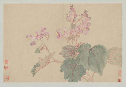 恽寿平花卉山水册, , Yun Shouping