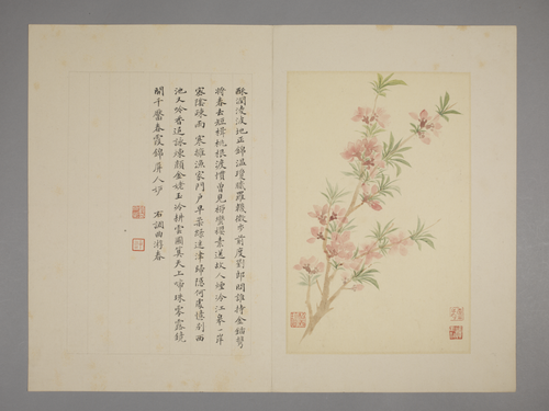 恽寿平花卉册, , Yun Shouping