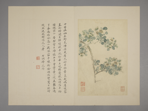 恽寿平花卉册, , Yun Shouping