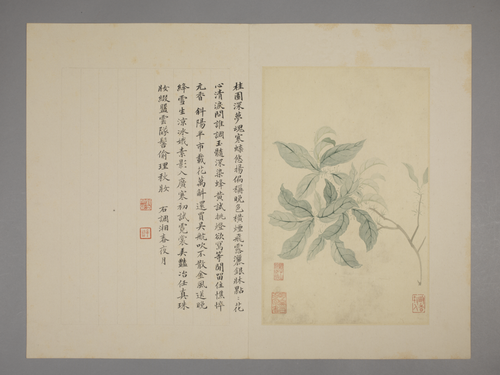 恽寿平花卉册, , Yun Shouping