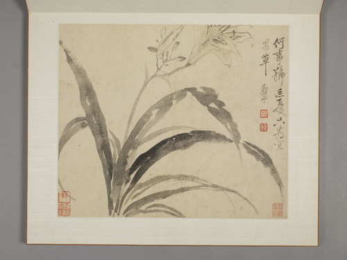 恽寿平山水花卉册, , Yun Shouping