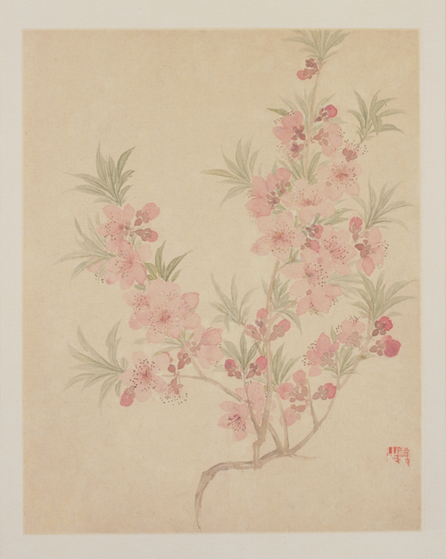 恽寿平花鸟册, , Yun Shouping