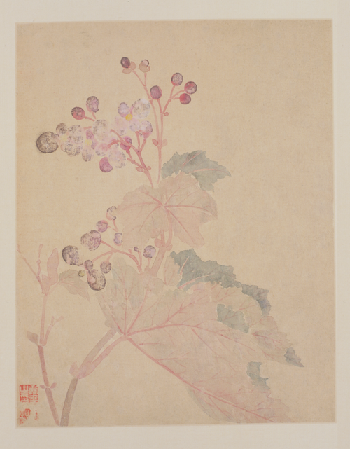 恽寿平花鸟册, , Yun Shouping