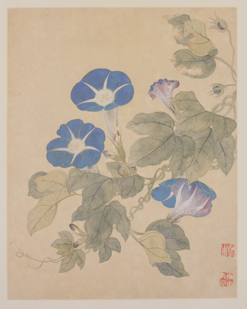 恽寿平花鸟册, , Yun Shouping