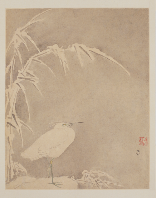 恽寿平花鸟册, , Yun Shouping