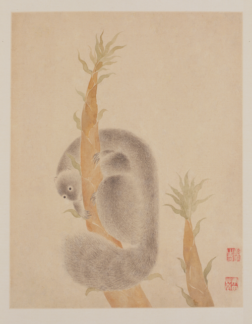 恽寿平花鸟册, , Yun Shouping