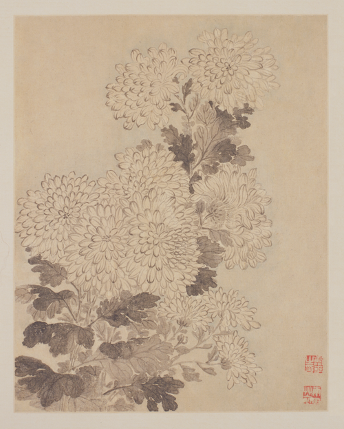 恽寿平花鸟册, , Yun Shouping