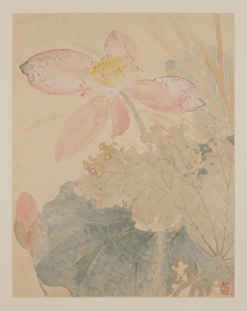 恽寿平花鸟册, , Yun Shouping