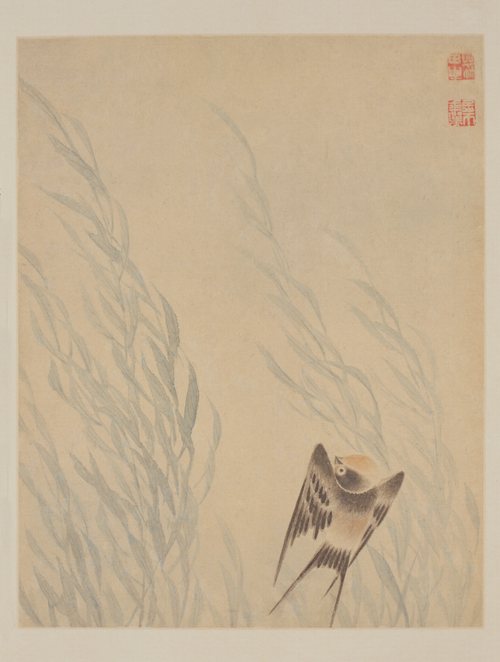 恽寿平花鸟册, , Yun Shouping