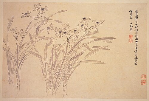 Narcissi, 1650, Yun Shouping
