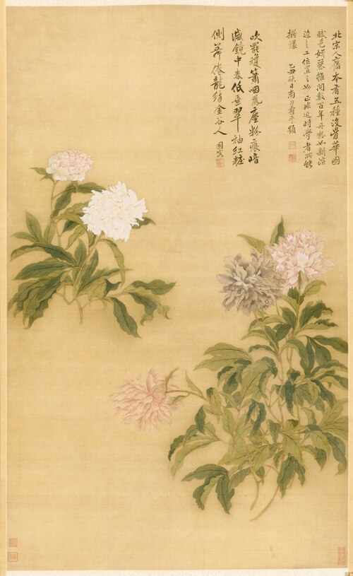 Herbaceous Peony, 1685, Yun Shouping
