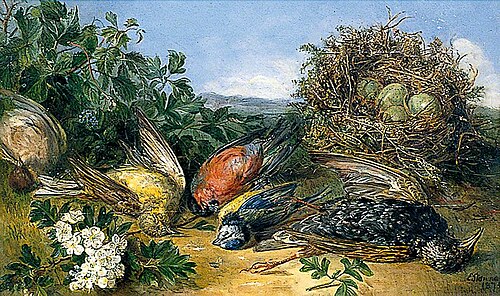 Dying Birds, Illustration for a Poem, 1874, Eloise Henriet Stannard