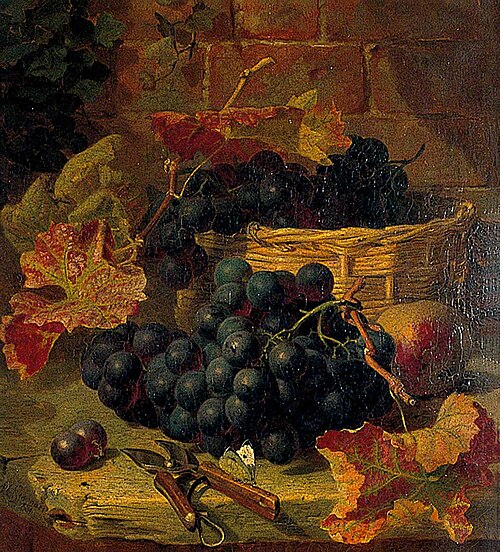 Still Life, Black Grapes, 1881, Eloise Henriet Stannard