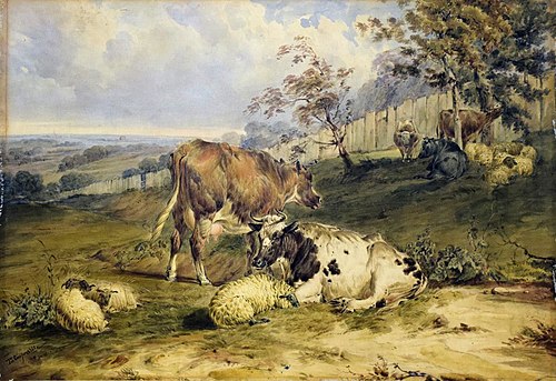 Cattle, 1850, Thomas Sidney Cooper