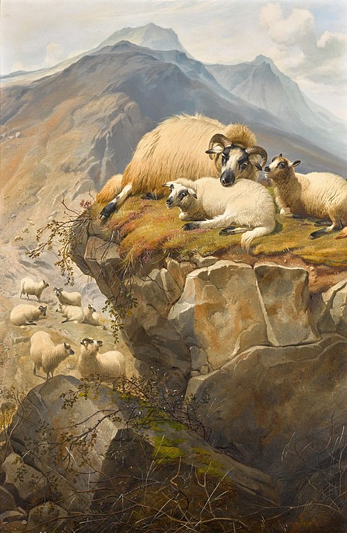 Sheep In The Isle of Skye, , Thomas Sidney Cooper