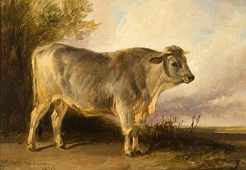 Bull, 1842, Thomas Sidney Cooper