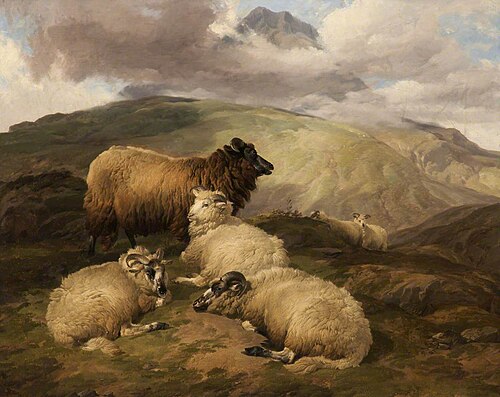 Sheep, 1850, Thomas Sidney Cooper
