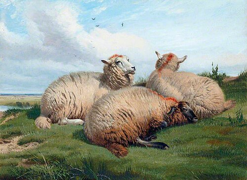 Sheep, 1866, Thomas Sidney Cooper