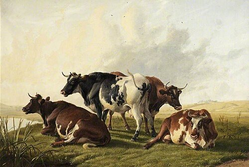 Cows, 1881, Thomas Sidney Cooper