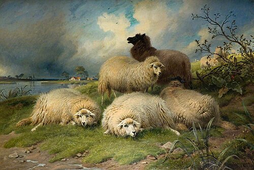 Canterbury Meadows, 1899, Thomas Sidney Cooper