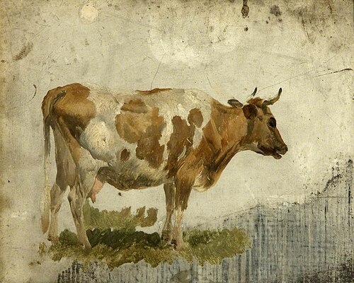 Study of a Cow, , Thomas Sidney Cooper