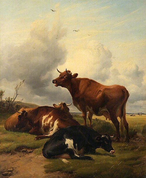 Cattle, , Thomas Sidney Cooper