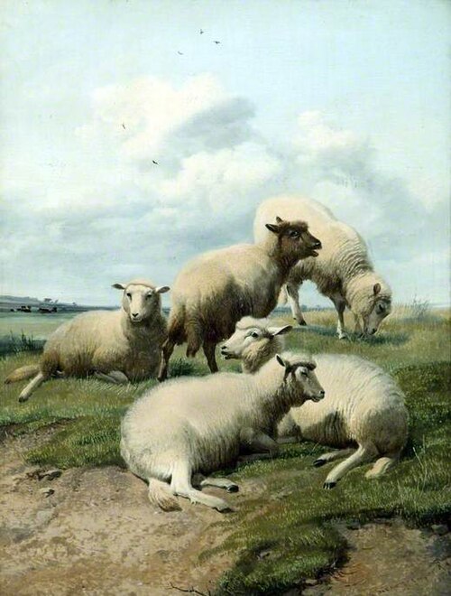 Sheep, , Thomas Sidney Cooper
