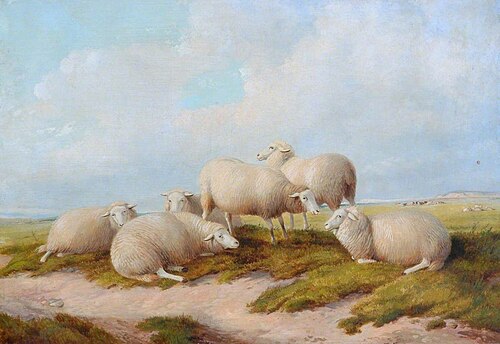 Sheep, , Thomas Sidney Cooper