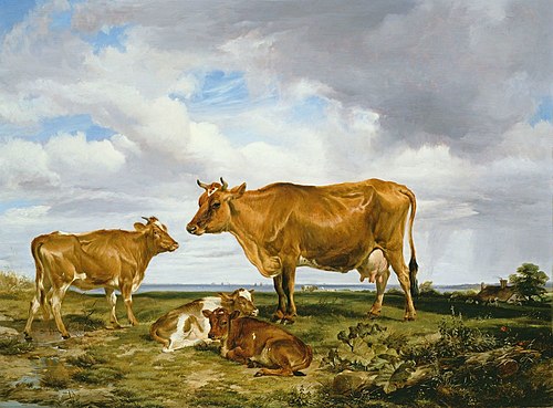 The Victoria Cow, 1848, Thomas Sidney Cooper