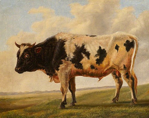 Friesian Bull in a Landscape, 1862, Thomas Sidney Cooper