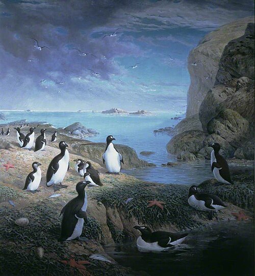 Great Auks, , John Gerrard Keulemans