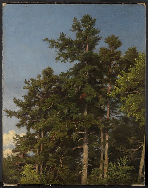 Eichenwipfel, 1860, Emil Lugo
