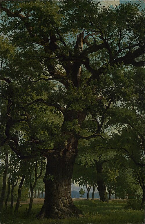 Eiche, 1860, Emil Lugo