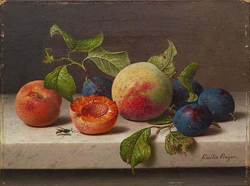 Still-life with Fruit, , Emilie Preyer