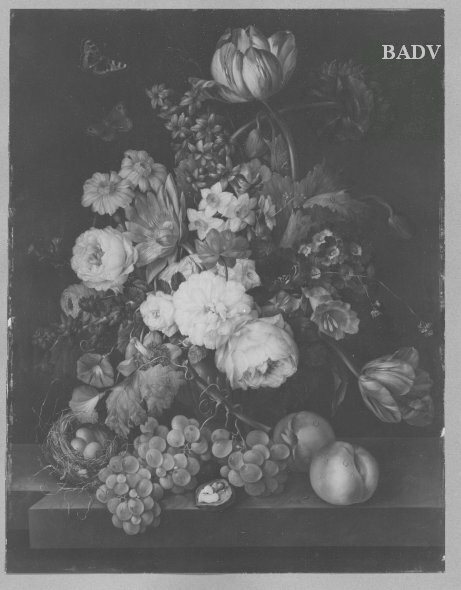 Still - life with flowers + fruits, 1821, Franz Xaver Petter