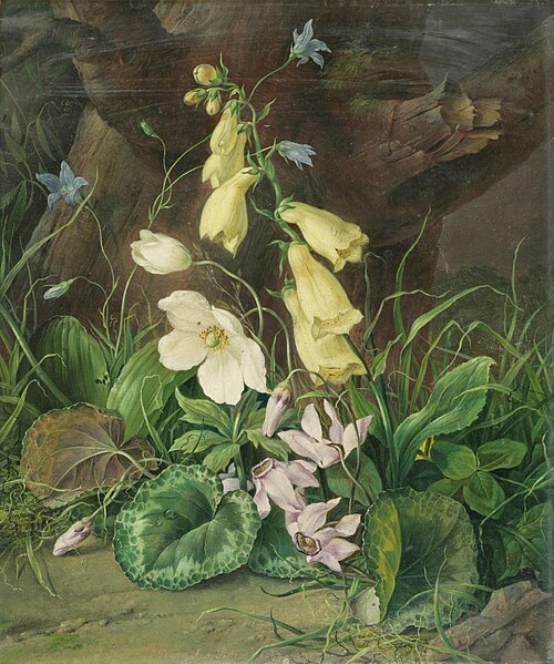 Wildflowers at the Base of a Tree, 1854, Franz Xaver Petter