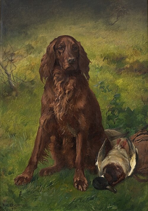 Irish Setter with a Duck, 1906, Karl Uchermann